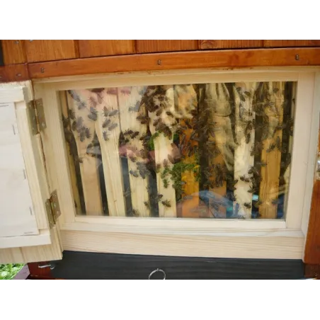 Ul wielkopolski z szybką